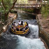 Busch Gardens - Congo River