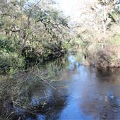 Hillsborough River State Park
