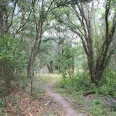 Sydney Dover Trails