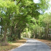 Jameson Road