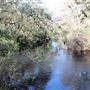 Hillsborough River State Park