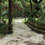 Lithia Springs Regional Park