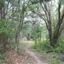 Sydney Dover Trails