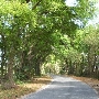 Jameson Road