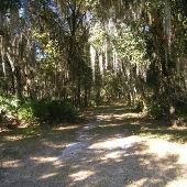 Thonontosassa Farm