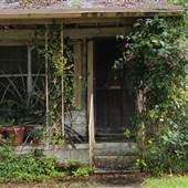 South Tampa Elliott St - Neighborhood