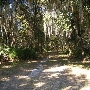 Thonontosassa Farm