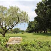 Garden of Memories Cemetery
