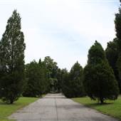 Showmans Rest Cemetery
