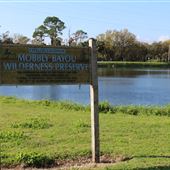 Mobbly Bayou Wilderness Preserve