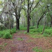 Edward Medard Park