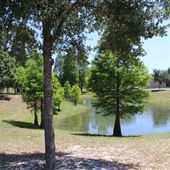Simmons Park