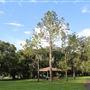 Rowlett Park