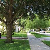 Hyde Park Preservation - Neighborhood