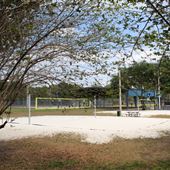 Brandon Park