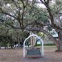 Palma Ceia Spring Park