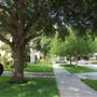 Hyde Park Preservation - Neighborhood