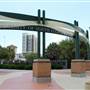USF Park