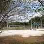 Brandon Park