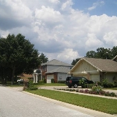 Carrollwood - Neighborhood