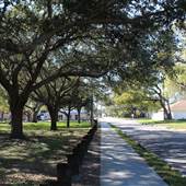 Macfarlane Park