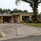Temple Terrace - Neighborhood
