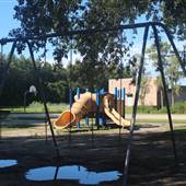 Carrollwood Meadows
