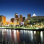 Tampa Skyline