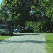 Lutz Northeast - Neighborhood