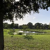 Shimberg Gardens