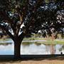 Robles Park