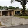 Temple Terrace - Neighborhood