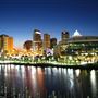 Tampa Skyline