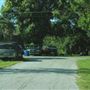 Lutz Northeast - Neighborhood