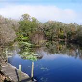 Morris Bridge Park