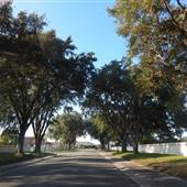 Caloosa - Neighborhood
