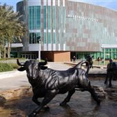 University of South Florida