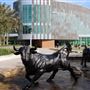 University of South Florida