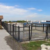 Davis Island Dog Beach
