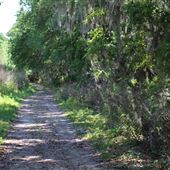 Alafia River State Park