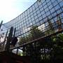 Busch Gardens - Jungala