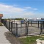 Davis Island Dog Beach
