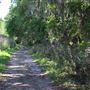 Alafia River State Park