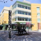 University of South Florida The Village