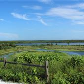 Cockroach Bay Nature Preserve