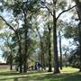 Borrell Park