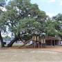 Rome and Sligh Park