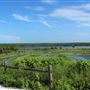 Cockroach Bay Nature Preserve