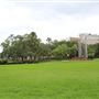 Plant Park