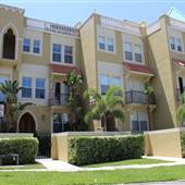 Davis Islands - Neighborhood